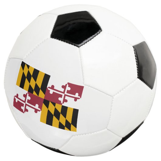 Drapeau de l'État du Maryland (3/4)