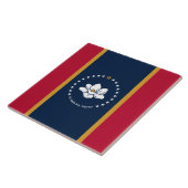 Drapeau de l'État du Mississippi sur carreau (Côté)