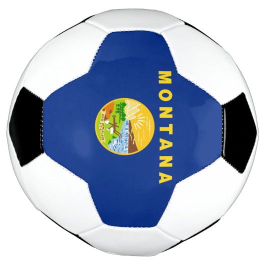 Drapeau de l'État du Montana (Tourné)