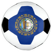 Drapeau de l'État du New Hampshire (Tourné)