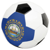 Drapeau de l'État du New Hampshire (3/4)