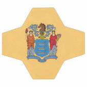 Drapeau de l'État du New Jersey (Plat)