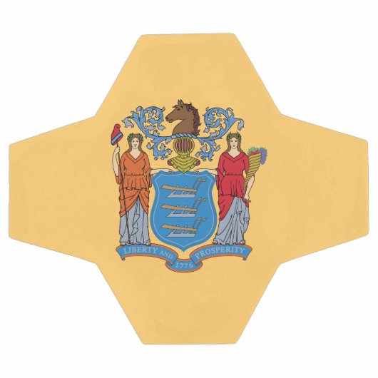 Drapeau de l'État du New Jersey (Plat)