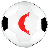 Drapeau de l'île de Pâques (Tourné)