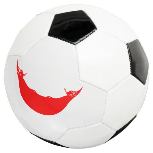 Drapeau de l'île de Pâques (3/4)