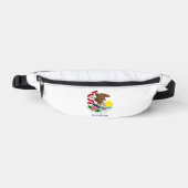 Drapeau de l'Illinois (Recto)