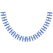 Drapeau de l'Israël (Tout)