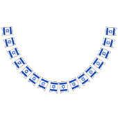 Drapeau de l'Israël (Tout)