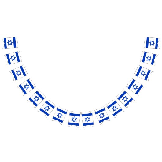 Drapeau de l'Israël (Tout)