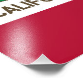 Drapeau de l'ours de Californie, États-Unis, photo (Coin)