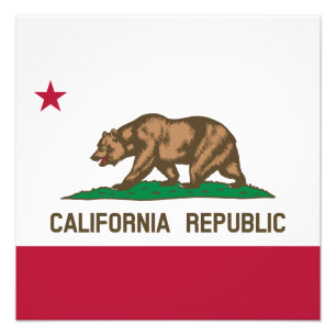 Drapeau de l'ours de Californie, États-Unis, photo