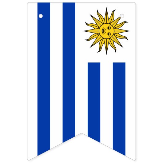 Drapeau de l'Uruguay (Deuxième drapeau)