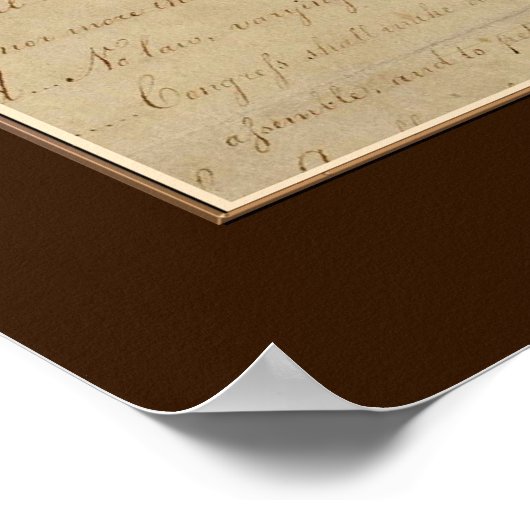 DRAPEAU DE MA MAISON ~Bald Eagle US Affiche du dra (Coin)