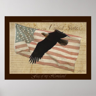 DRAPEAU DE MA MAISON ~Bald Eagle US Affiche du dra