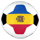 Drapeau de Moldova (Tourné)