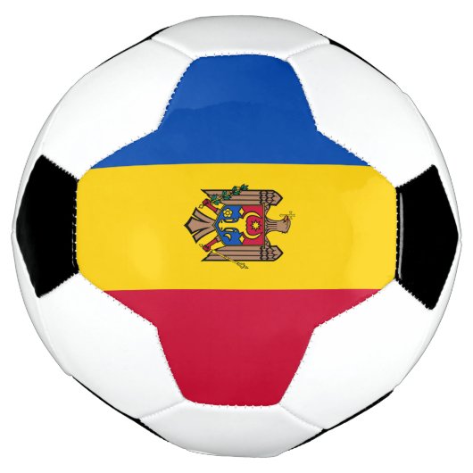 Drapeau de Moldova (Tourné)