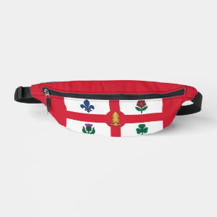 Drapeau de Montréal, Québec