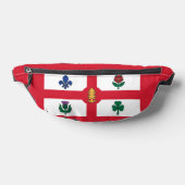 Drapeau de Montréal, Québec (Poser)