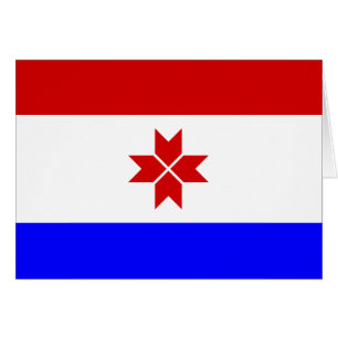 Drapeau de Mordovie