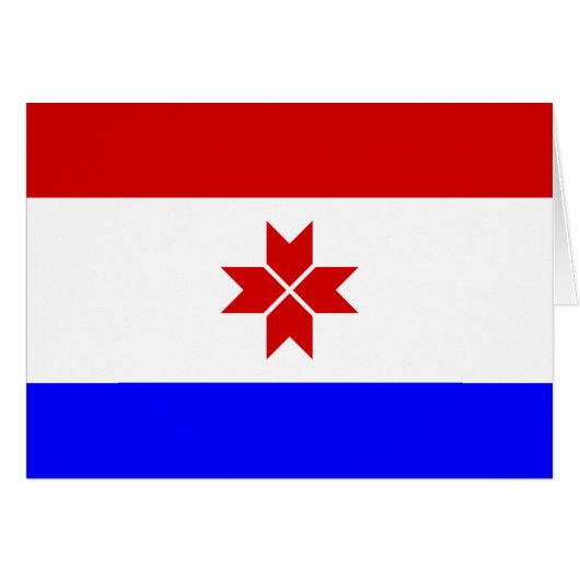 Drapeau de Mordovie (Devant horizontal)