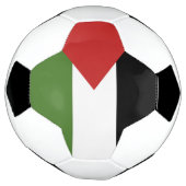 Drapeau de Palestine (Tourné)