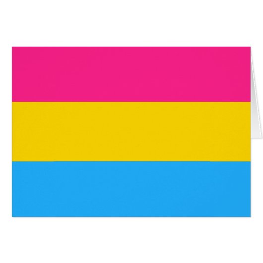 Drapeau de Pansexualité (Devant Horizontal)