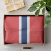 Drapeau de papier de soie de soie de la Norvège (Cadeau)