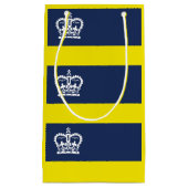 Drapeau de Regina (Saskatchewan) Sac cadeau de pet (Devant)