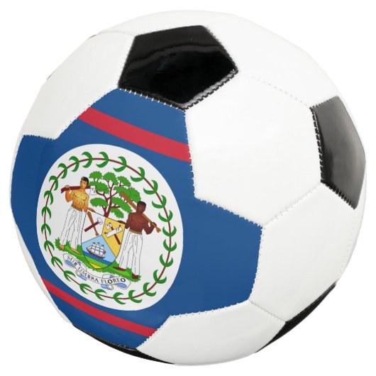 drapeau de retrait (3/4)