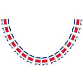 Drapeau de Rican de côte (Tout)