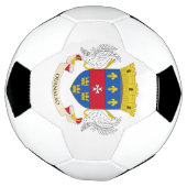 Drapeau de Saint-Barthélemy (Tourné)