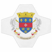 Drapeau de Saint-Barthélemy (Plat)