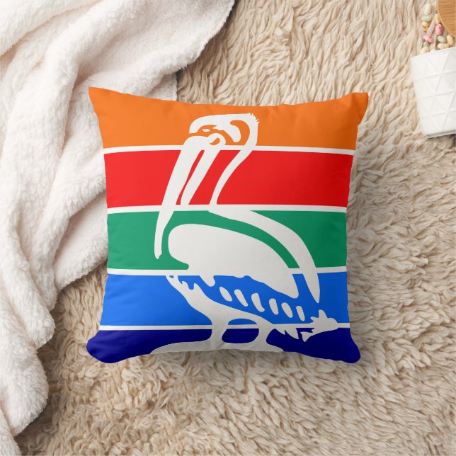 Drapeau de Saint-Pétersbourg Coussin américain MoJ (Couverture)