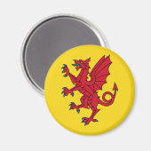 Drapeau de Somerset Magnet (Recto/Verso)