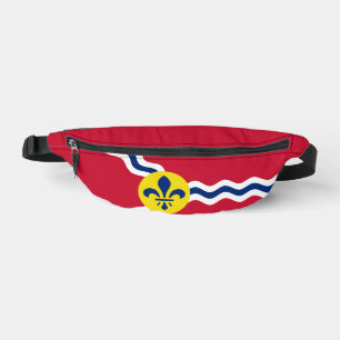 Drapeau de St. Louis, Missouri