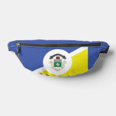 Drapeau de Winnipeg, Manitoba (Poser)
