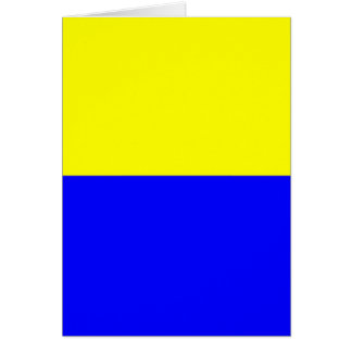 Drapeau de Zandvoort