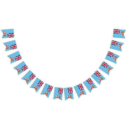 Drapeau des Fidji (Tout)