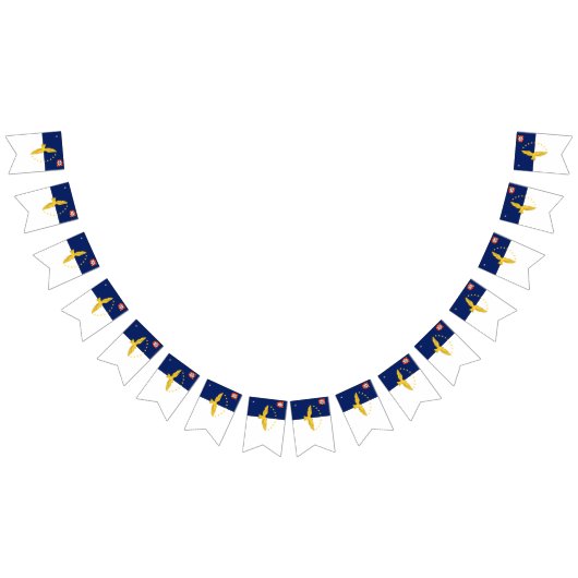 Drapeau des îles Açores: bannière flottante (Tout)