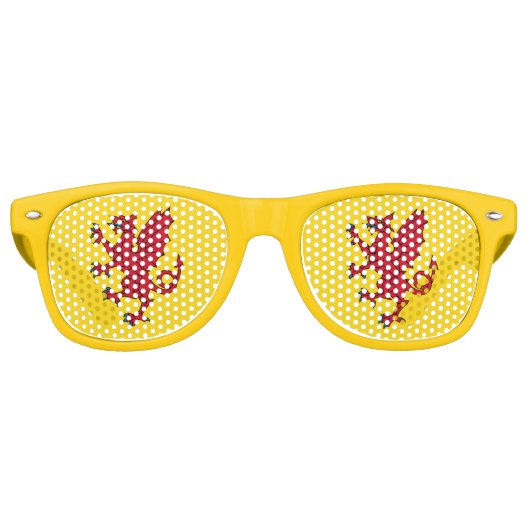 Drapeau des lunettes de soleil rétro Somerset (Devant)