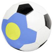 Drapeau des Palaos (3/4)