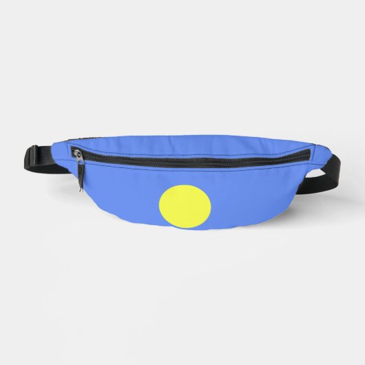 Drapeau des Palaos (Recto)