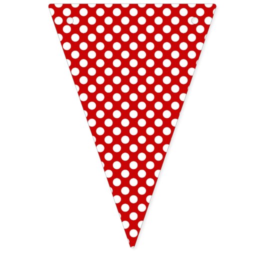 Drapeau d'étamine de partie de pirate (Premier drapeau)