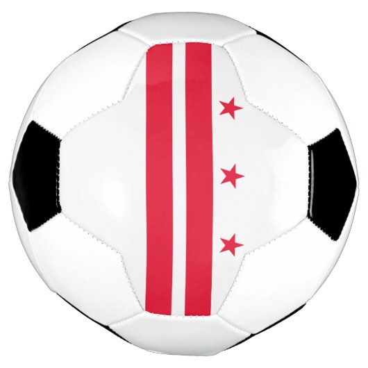 Drapeau d'État de Washington DC (Tourné)