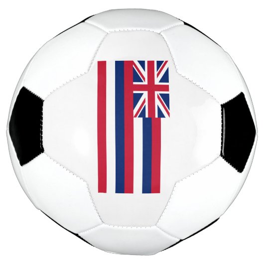 Drapeau d'État d'Hawaii (Tourné)