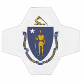 Drapeau d'État du Massachusetts (Plat)