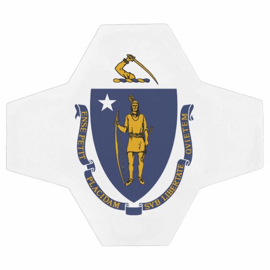 Drapeau d'État du Massachusetts (Plat)