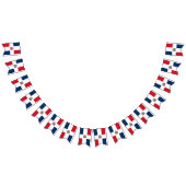 Drapeau dominicain (Tout)