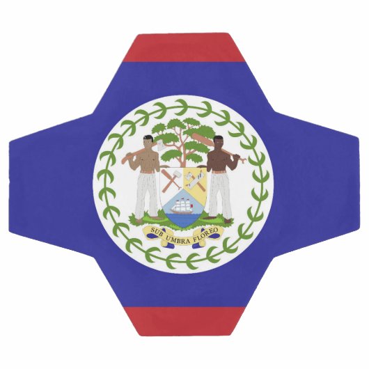 Drapeau du Belize (Plat)