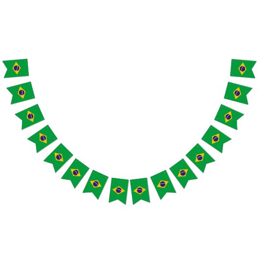 Drapeau du Brésil (Tout)